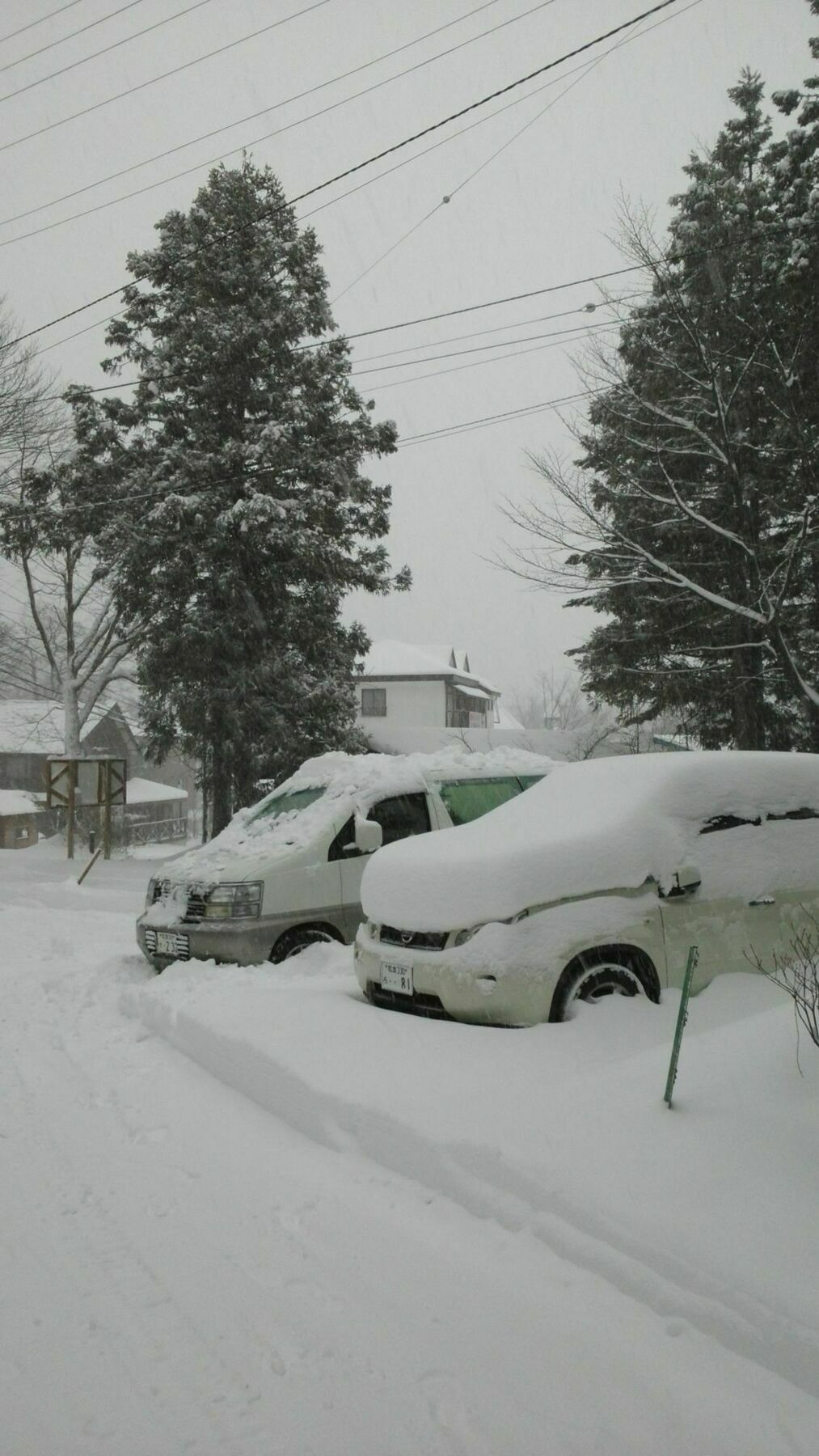 Sakka Sanso山林小屋 白马村 外观 照片
